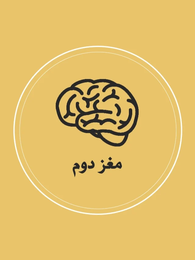 مغز دوم